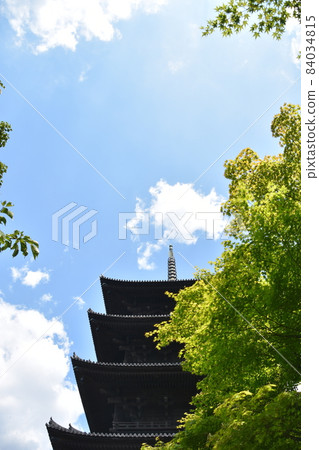 夏季京都東寺五層塔 夏季京都東寺五層塔 84034815