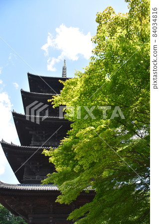 夏季京都東寺五層塔 夏季京都東寺五層塔 84034816