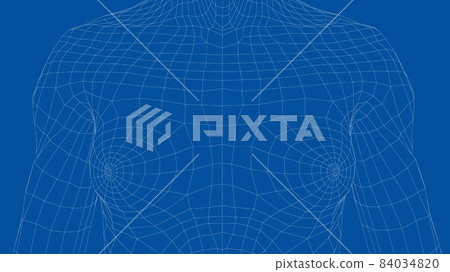 Wireframe female breast. Close-up view Wireframe female breast. Close-up view 84034820