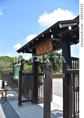 Scenery of the precincts of Toji Temple in Kyoto in the summer 84035938