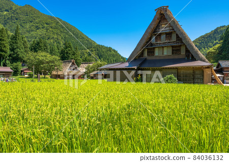 富山縣世界遺產五箇山菅沼村 84036132