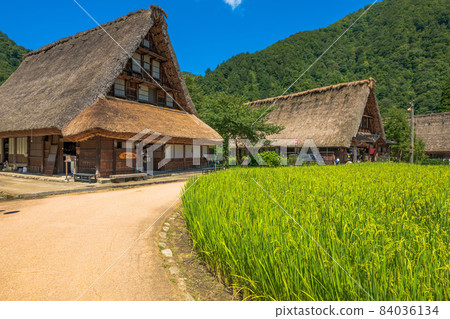 富山縣世界遺產五箇山菅沼村 84036134