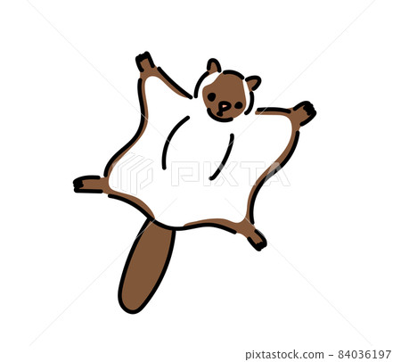 飛鼠圖 84036197
