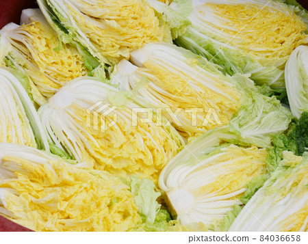 Washing and salted cabbage to make kimchi  84036658