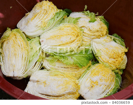 Washing and salted cabbage to make kimchi  84036659
