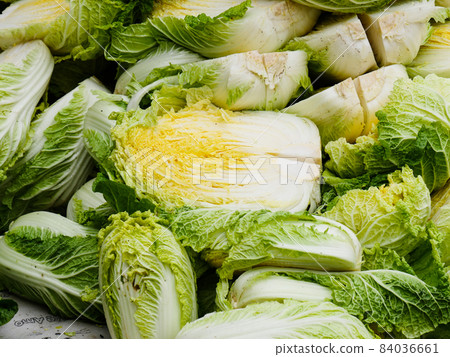 Washing and salted cabbage to make kimchi  84036661