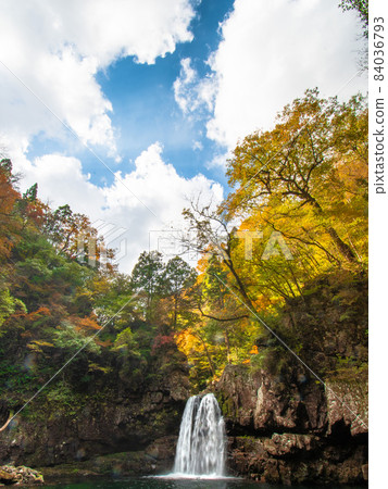 Waterfall and autumn leaves Waterfall and autumn leaves 84036793