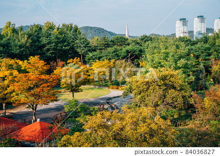 View of Hanbat Arboretum and modern buildings at autumn in Daejeon, Korea 84036827