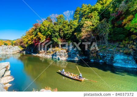 Saitama Nagatoro autumn leaves 84037372