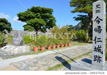 Near Nakijin Castle Ruins Heiromon 84037428