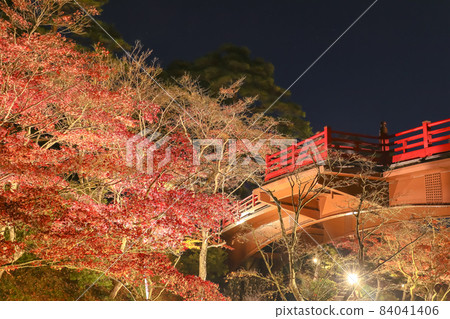 Niigata's Three Great Autumn Leaves Illuminated Yahiko Park Momijidani 84041406