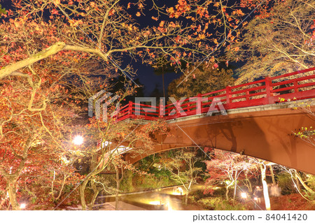 Niigata's Three Great Autumn Leaves Illuminated Yahiko Park Momijidani 84041420