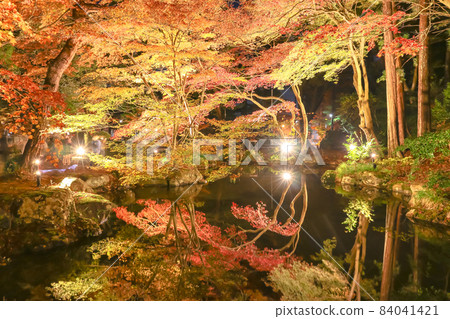 新潟三大紅葉照亮彌彥公園紅葉谷 新潟三大紅葉照亮彌彥公園紅葉谷 84041421
