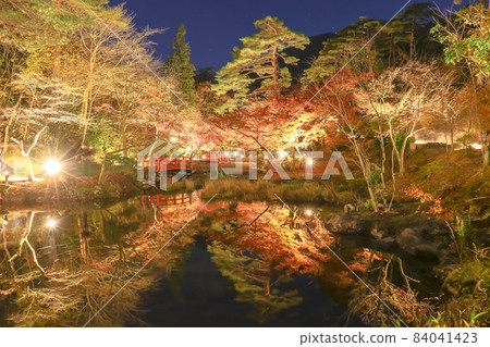 Niigata's Three Great Autumn Leaves Illuminated Yahiko Park Momijidani 84041423