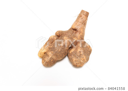在白色背景上的 Tsukune 土豆 84041558