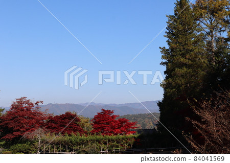 A landscape of a series of mountains with hazy autumn leaves when you go far beyond the blue sky, large coniferous trees, green hedges, and red-colored maple leaves A landscape of a series of mountains with hazy autumn leaves when you go far beyond the blue sky, large coniferous trees, green hedges, and red-colored maple leaves 84041569