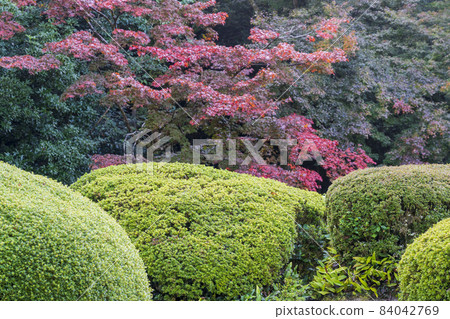 Shisen-do Jozan-ji Temple 秋葉園風景京都府京都市 84042769