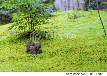 京都府志仙堂定山寺地藏和苔蘚京都市的風景 84042808