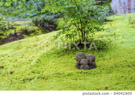 京都府志仙堂定山寺地藏和苔蘚京都市的風景 84042809