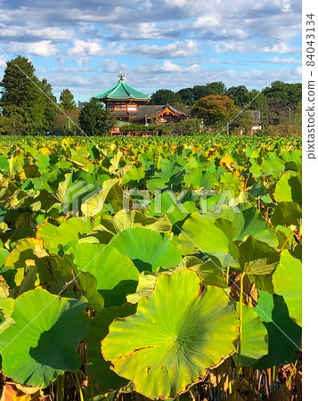 東京池之畑的高層公寓 東京池之畑的高層公寓 84043134