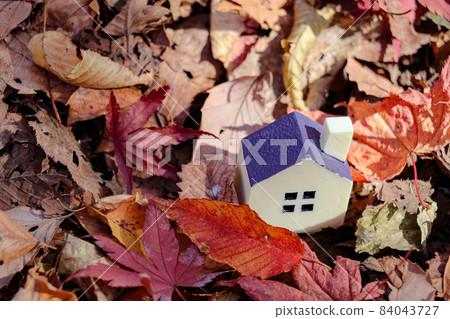 Autumn leaves and a miniature house Autumn leaves and a miniature house 84043727
