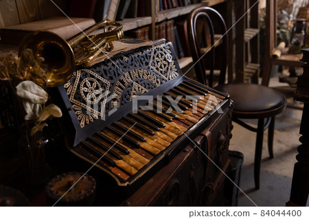 Accordion Instrument 84044400