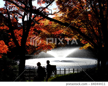 Kojo Park Fountain 1 84044411