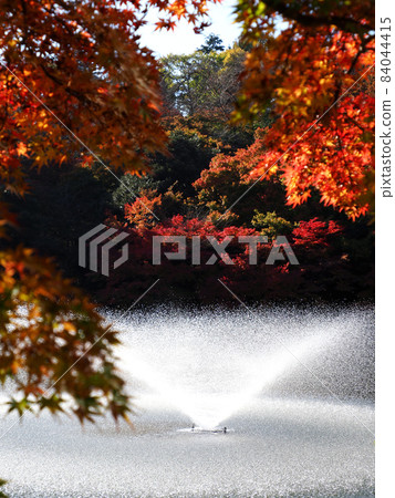 Kojo Park Fountain 5 Kojo Park Fountain 5 84044415