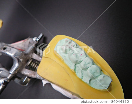 tooth plaster model 84044550