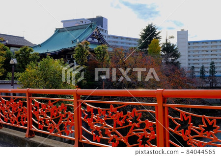 石神井河欄杆和秋葉橋秋葉 84044565