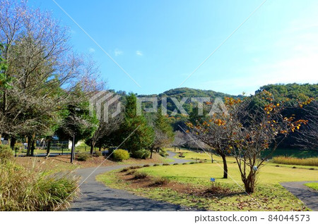 Take a leisurely stroll in the gentle sunlight Scenery Autumn 84044573