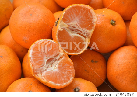 時令三天橙 84045887