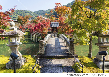 京都府京都市善林寺(永觀堂)秋葉與弁天社的風景 京都府京都市善林寺(永觀堂)秋葉與弁天社的風景 84045957