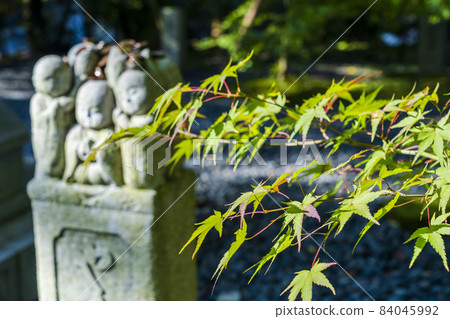 Scenery of Zenrinji Temple (Eikan-do) Maple and Jizo where the autumn leaves have begun Kyoto City, Kyoto Prefecture Scenery of Zenrinji Temple (Eikan-do) Maple and Jizo where the autumn leaves have begun Kyoto City, Kyoto Prefecture 84045992