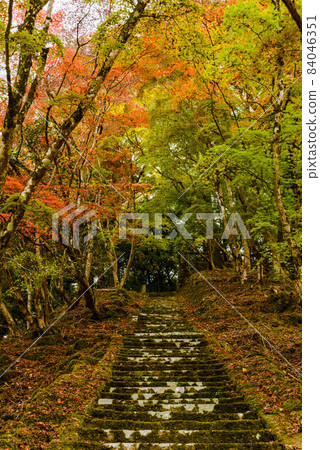 前往矢馬井町五棱神社的紅葉 84046351