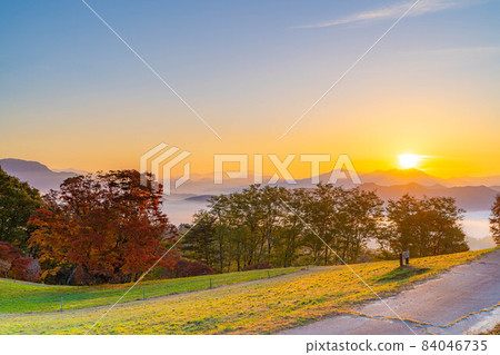 秋天大峰高原的日出和七色大楓的秋葉[長野縣] 84046735