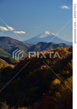 Mt. Fuji and autumn leaves seen from Yatsugatake Kogen Ohashi 84047331