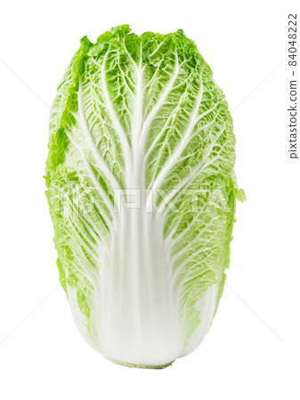 Napa cabbage or chinese cabbage isolated on white background. 84048222