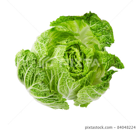 Napa cabbage or chinese cabbage isolated on white background. Napa cabbage or chinese cabbage isolated on white background. 84048224