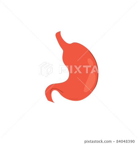 Flat cartoon person stomach,medical treatment and therapy,human anatomy educational material vector illustration concept Flat cartoon person stomach,medical treatment and therapy,human anatomy educational material vector illustration concept 84048390