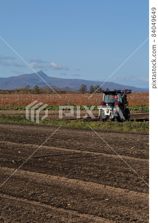 Landscape of Hokkaido ・ Mt. Konbu and potato fields after harvest 84049649