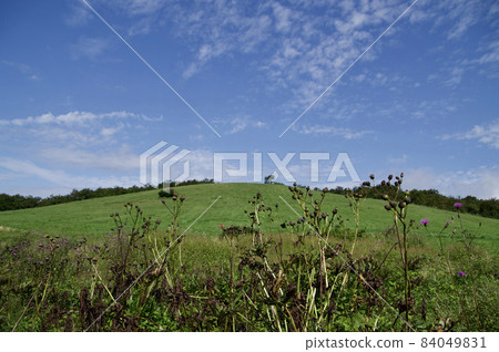 Azumayama Kobozu Meadow Blue Sky Copy Space 84049831