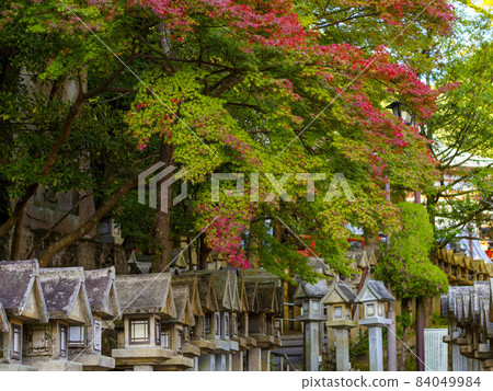 Shigisan Chogosonshiji 寺和秋葉的風景 Shigisan Chogosonshiji 寺和秋葉的風景 84049984