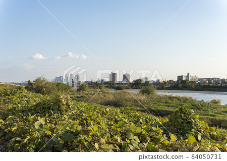 從東京世田谷區二子玉川眺望多摩川上的武藏小杉 84050731