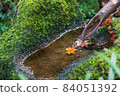 Autumn leaves 84051392