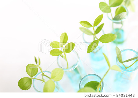 Research image Biotechnology 84051448