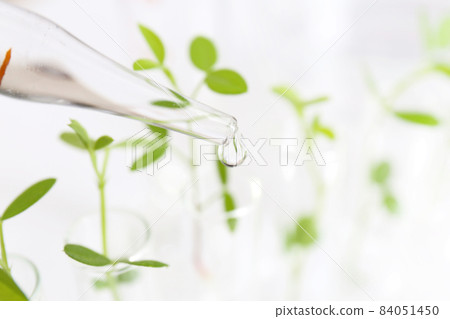 研究圖像 生物技術 84051450