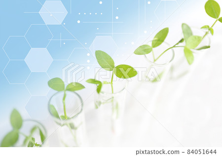 Research image Biotechnology 84051644