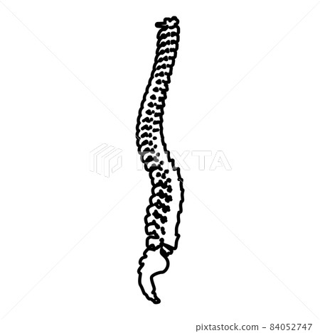 Spinal vertebral column spine backbone contour outline icon black color vector illustration flat style image 84052747