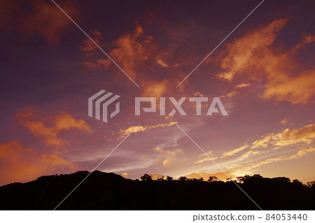 Izu's dynamic sunset sky. While dyeing the surroundings red, the trees on the mountain surface are silhouetted and dewed. 84053440